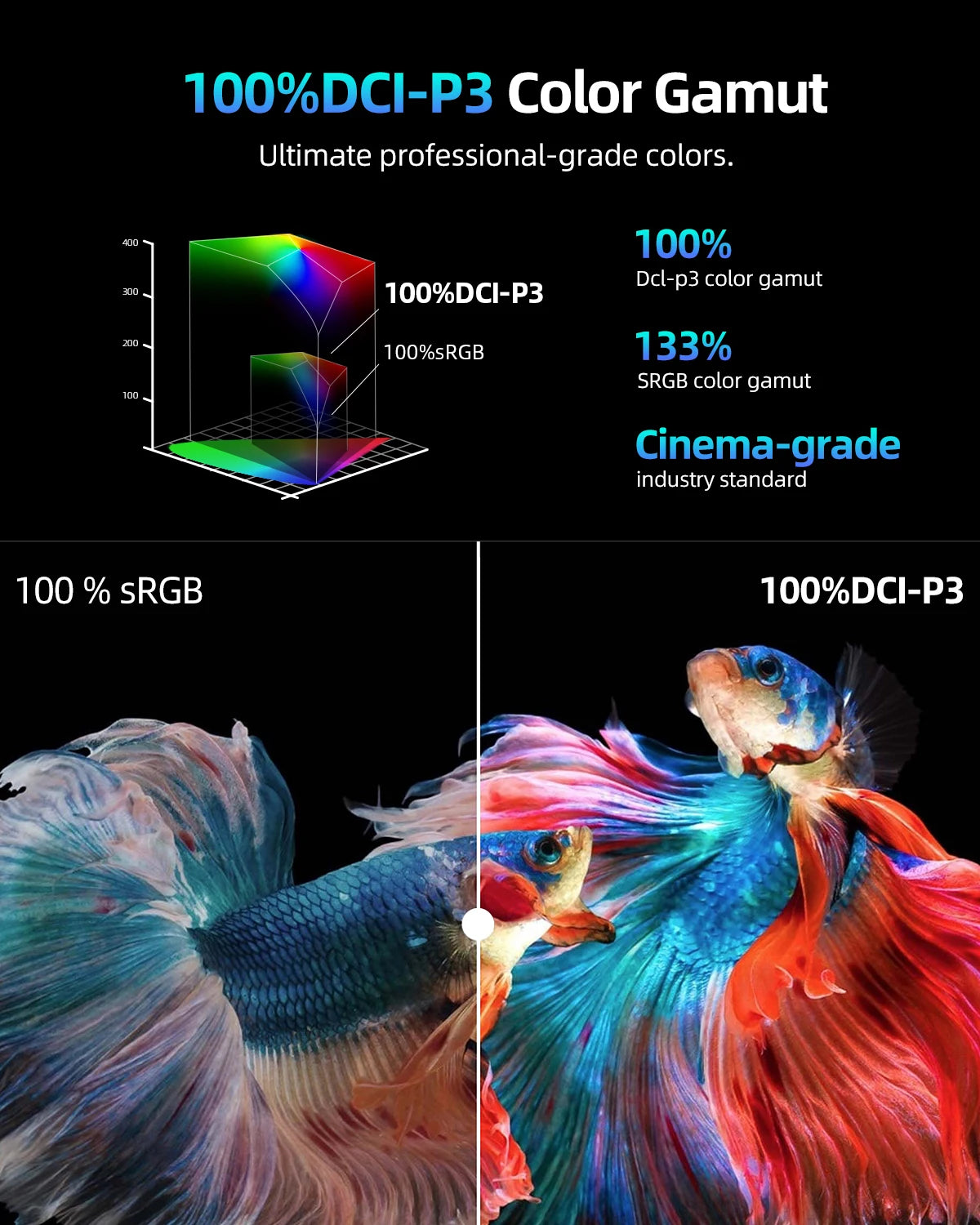 2K 144Hz Portable Monitor