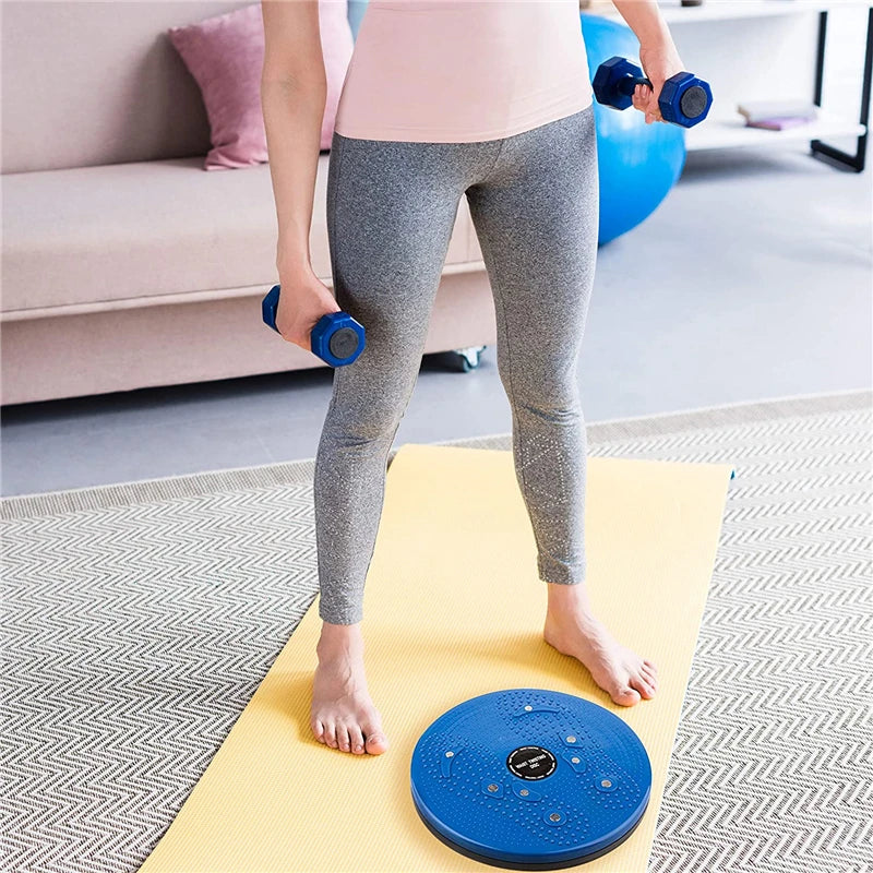 Magnet Waist Twisting Disc