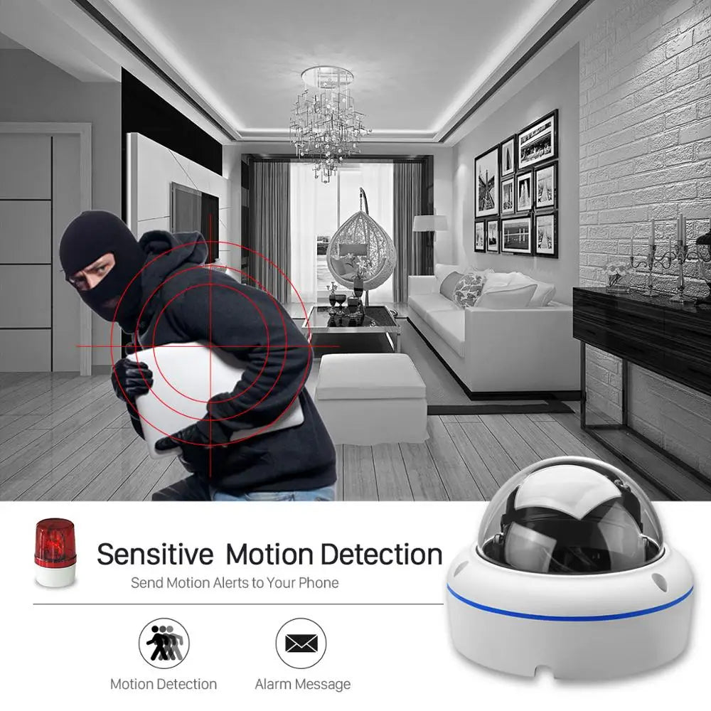 5MP WiFi Wireless Audio Camera