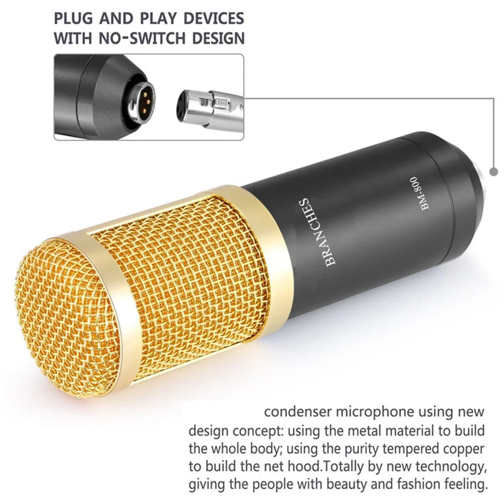 BM800 Professional Condenser Microphone
