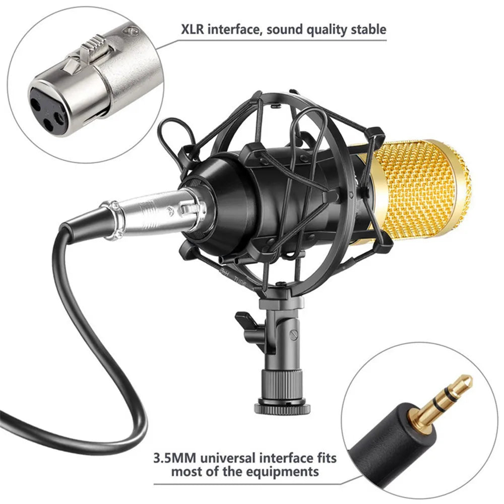 BM800 Professional Condenser Microphone
