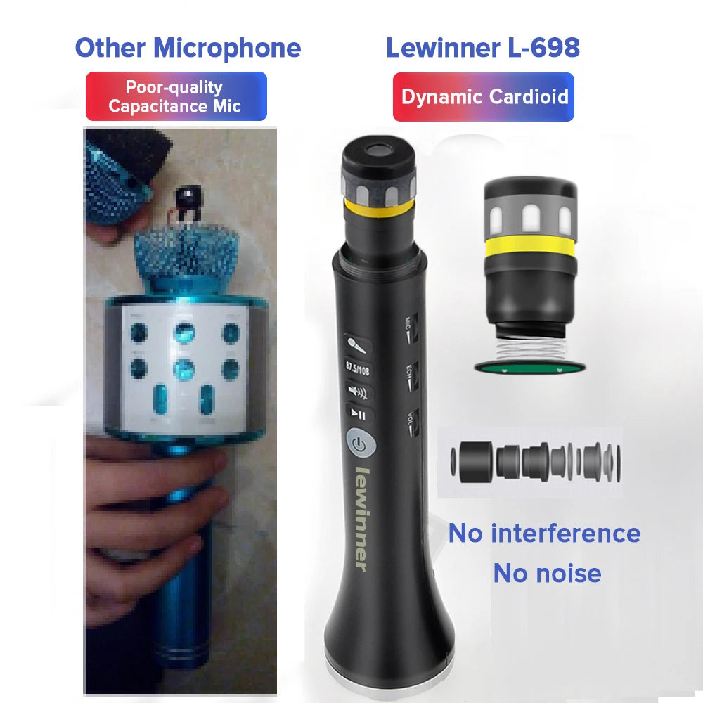 Professional Karaoke Microphone