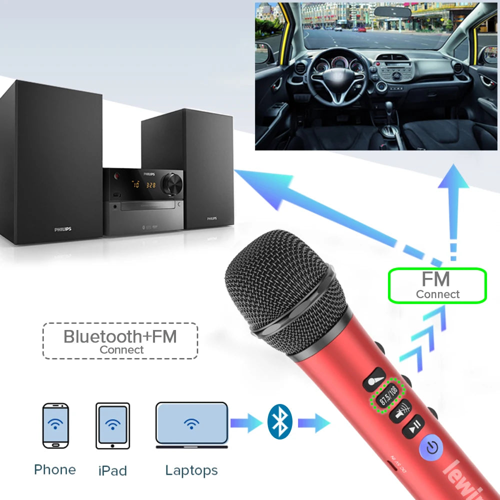 Professional Karaoke Microphone