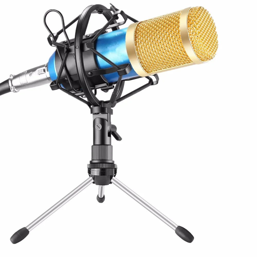 BM800 Professional Condenser Microphone