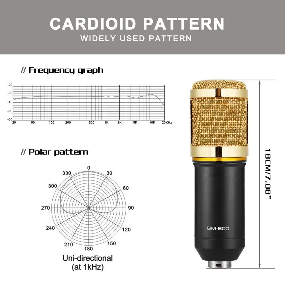 BM800 Professional Condenser Microphone
