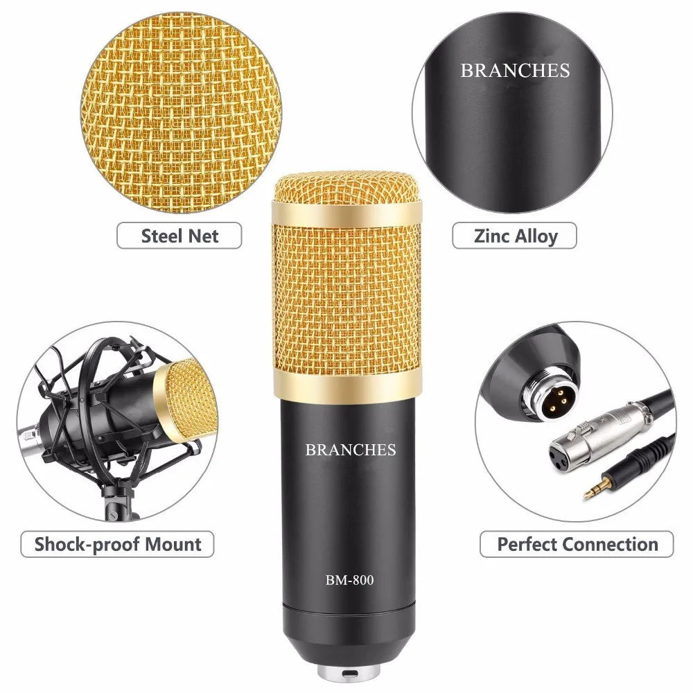 BM800 Professional Condenser Microphone