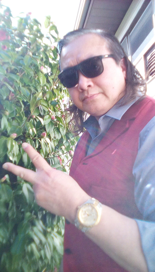 Men's Tweed Slim Fit Vest