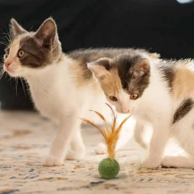 Cat Catnip Catnip Feather Ball Toys