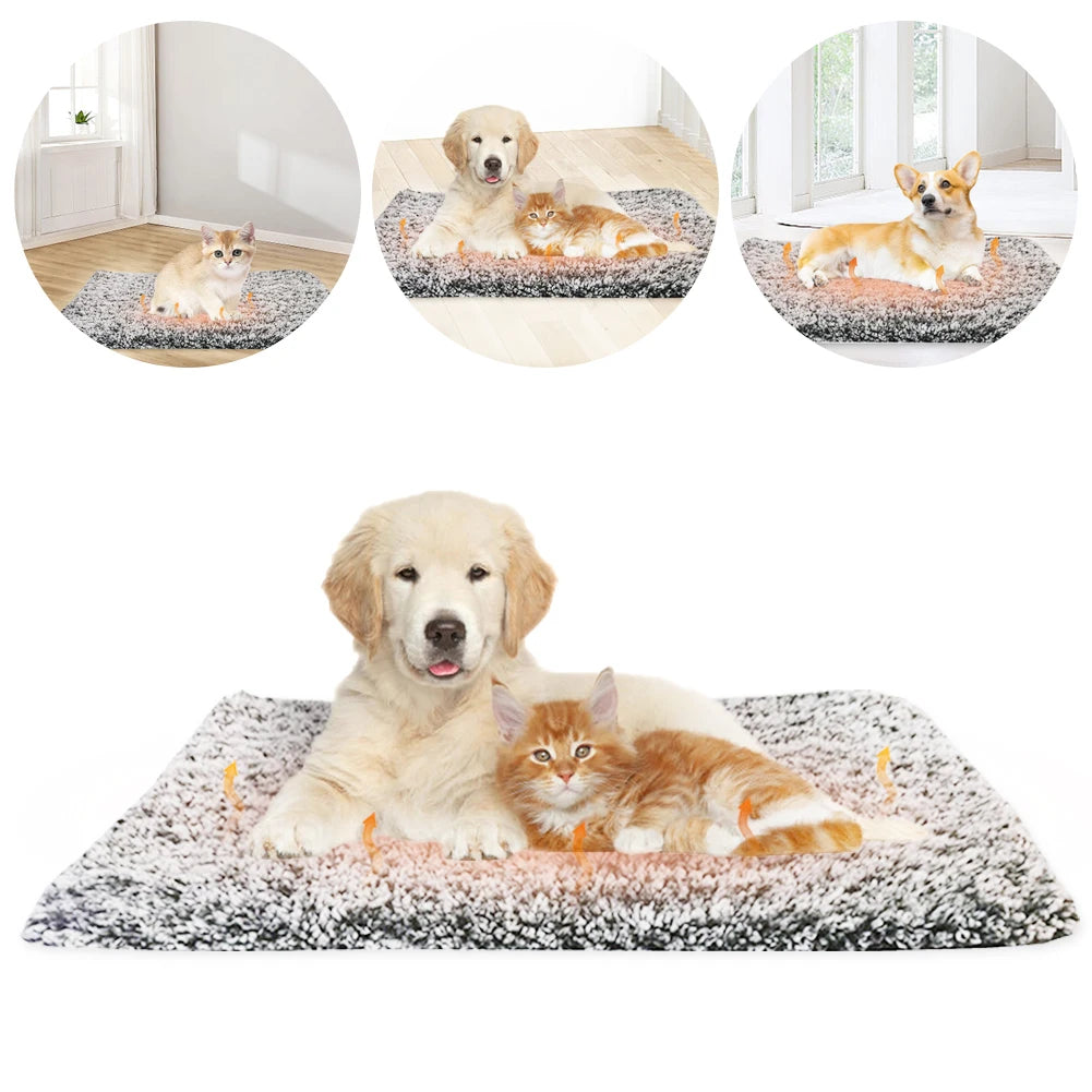 Self-Warming Dog Bed