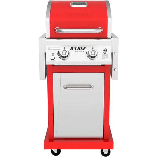 Deluxe 2-Burner Propane Barbecue Gas Grill