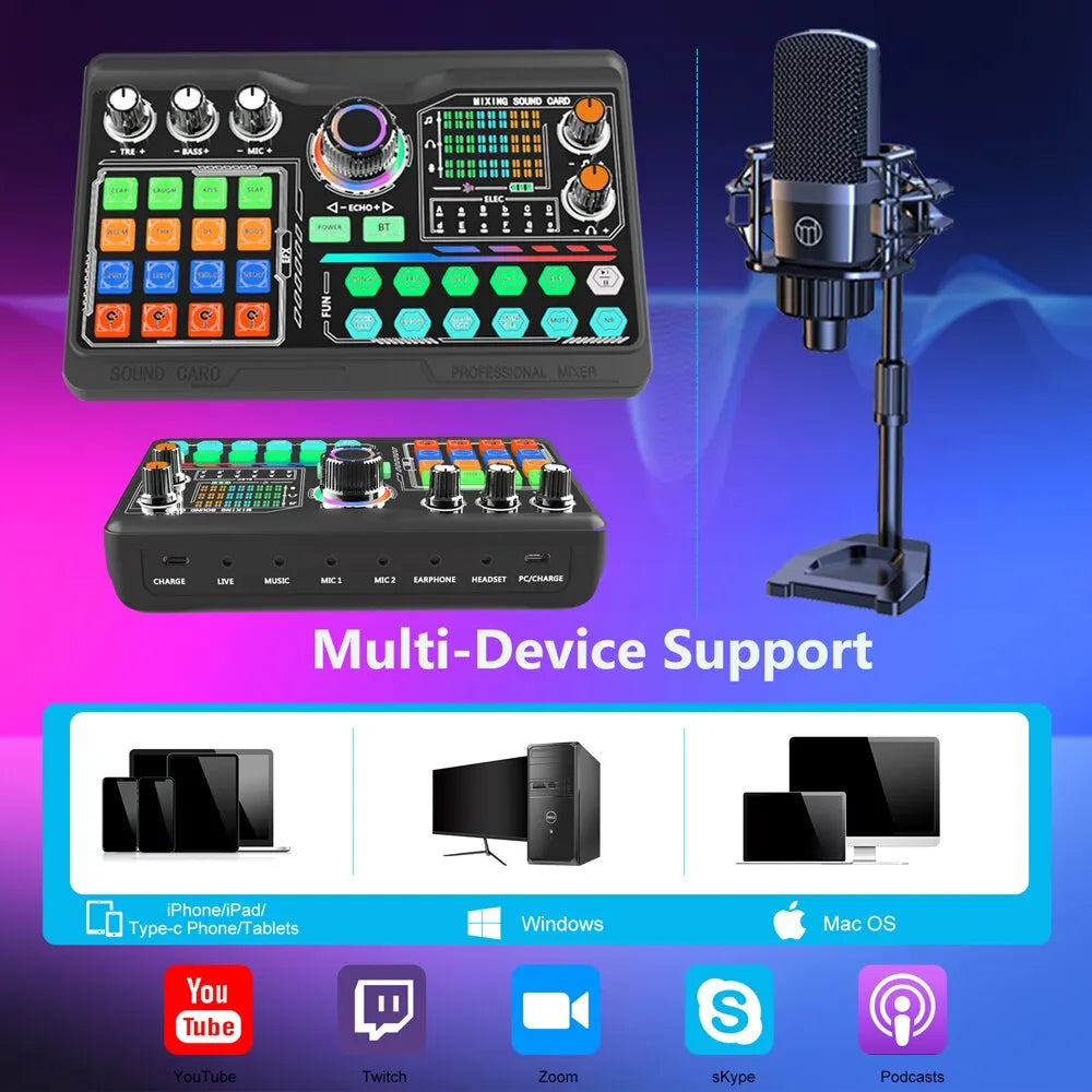 Professional Sound Card Kit Microphone