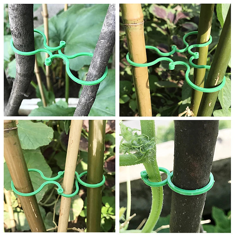 S/L Garden Vine Strapping Clips