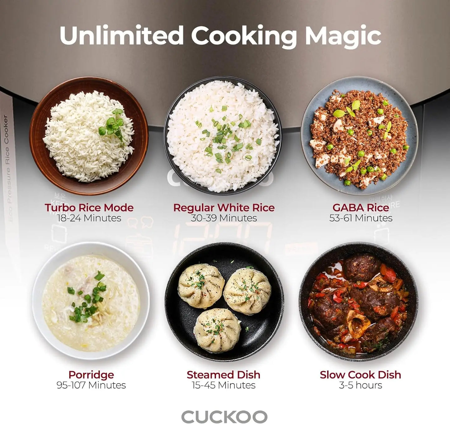 10-Cup Pressure Rice Cooker
