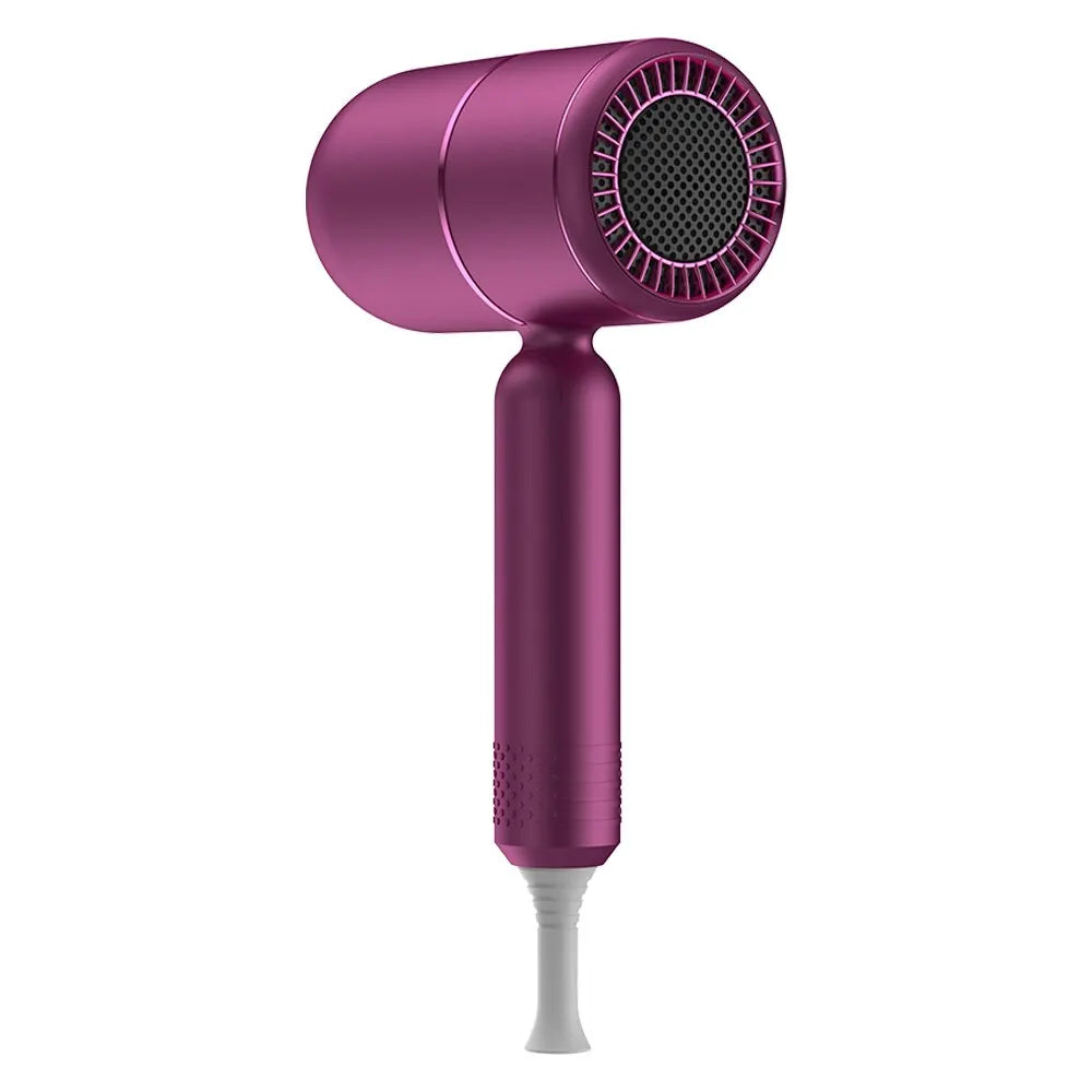 Portable Ionic Hair Dryer with Diffuser