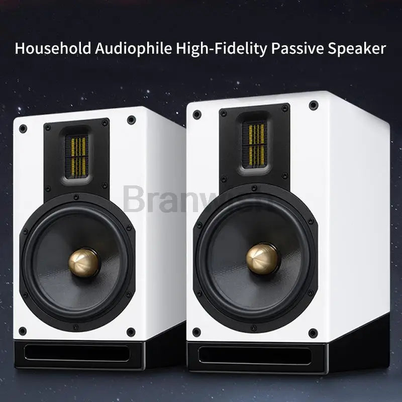 100W High-Power Audio Two-Way Bookshelf Speaker