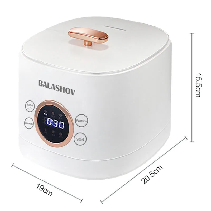 220V Mini Electric Smart Rice Cooker