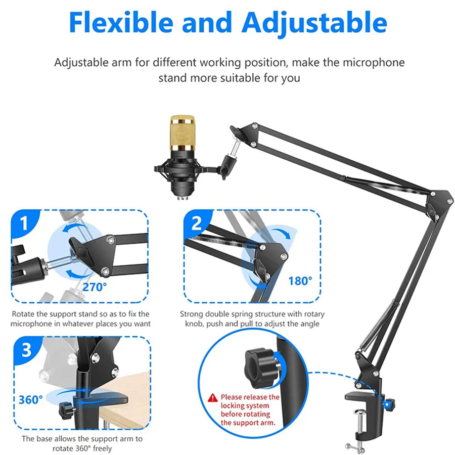 Condenser Mic with Live Sound Card Kit