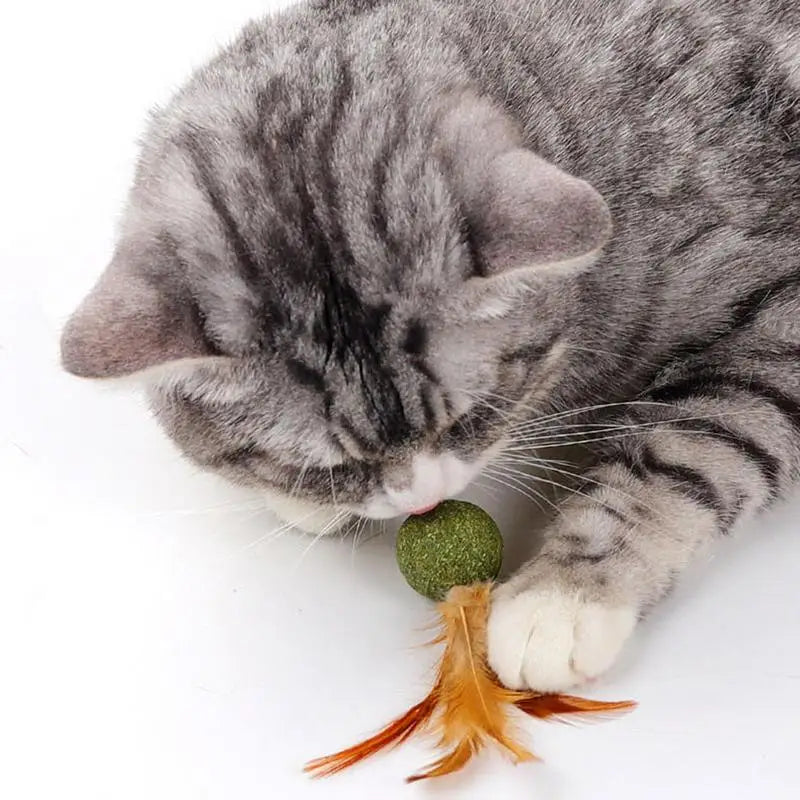 Cat Catnip Catnip Feather Ball Toys