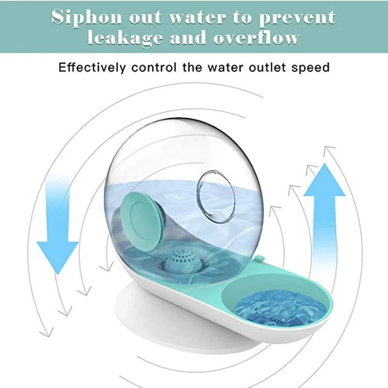 Cat Water Fountain Snails Filter