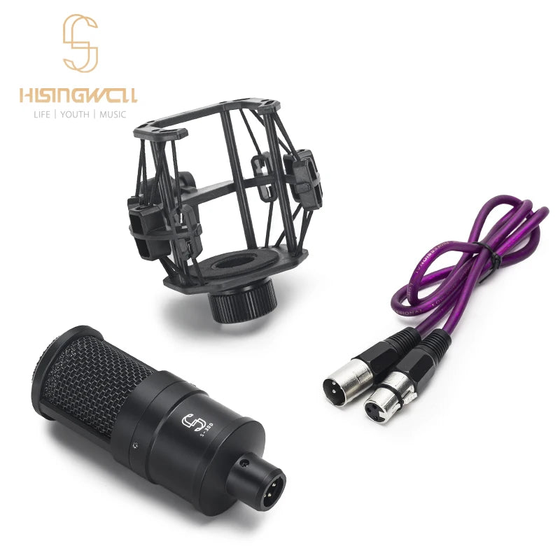 S-300 Condenser Professional Microphone