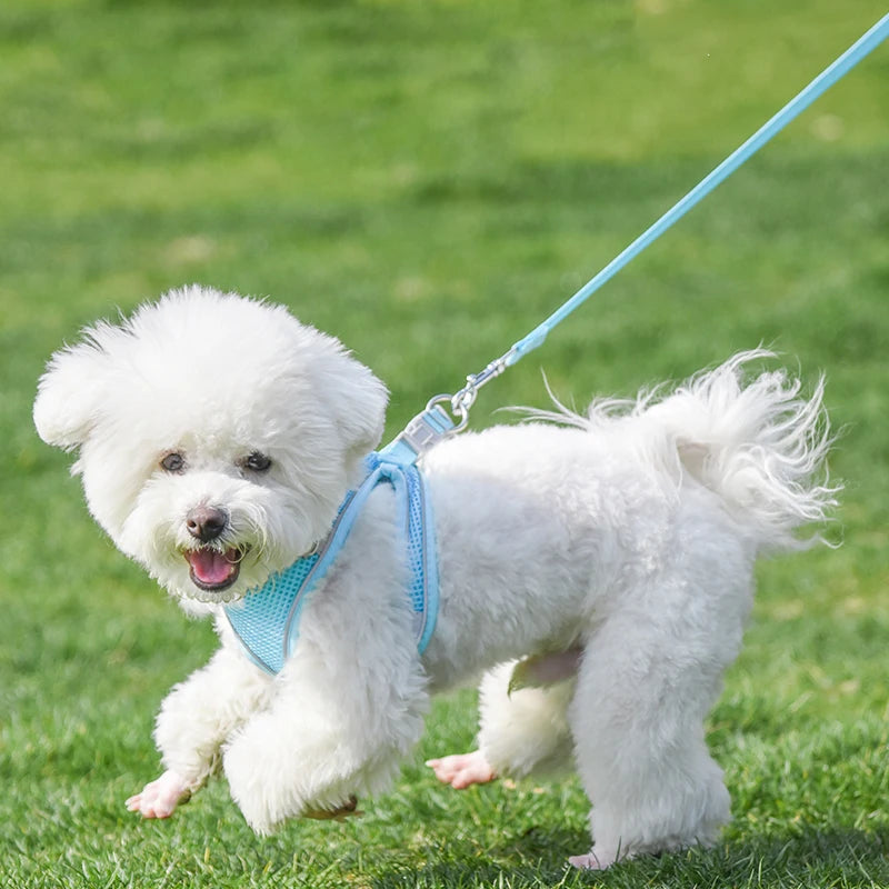 Pets Reflective Harness+Leash Set