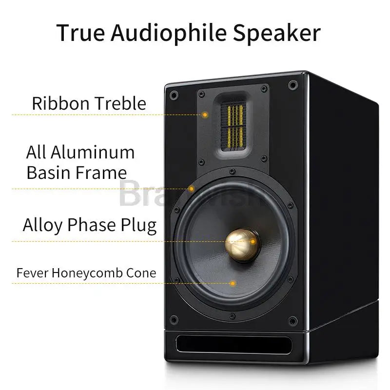 100W High-Power Audio Two-Way Bookshelf Speaker