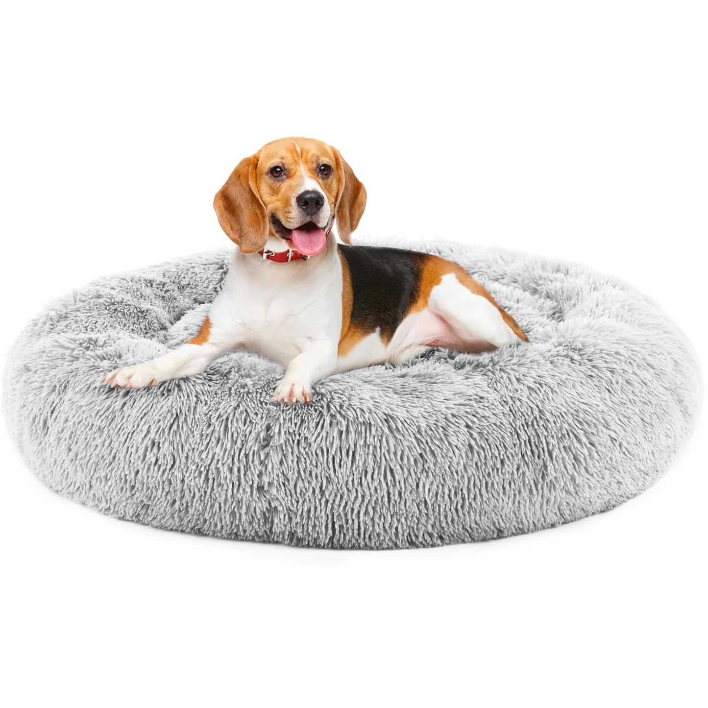 Calming Dog Bed