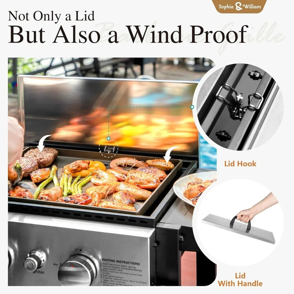 2-Burner Gas BBQ Grill