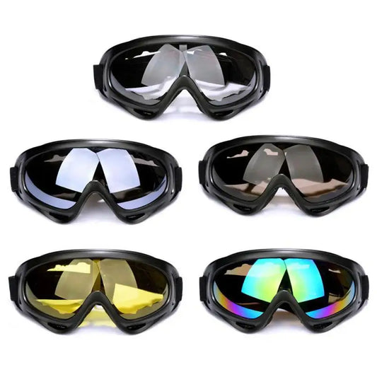 Ski Snowboard Goggles