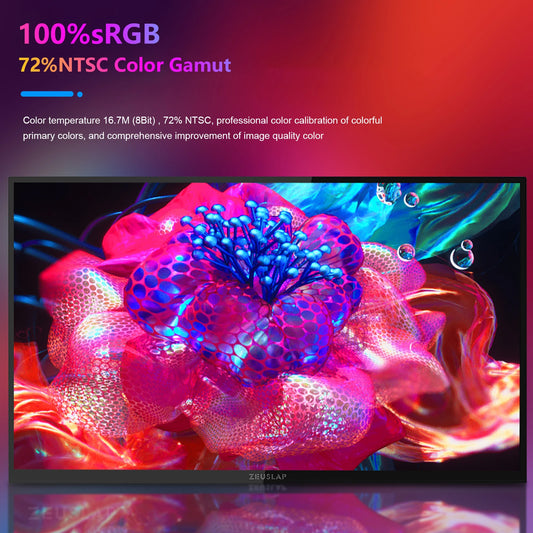 18.5" Smart Z18TV PRO Portable Monitor