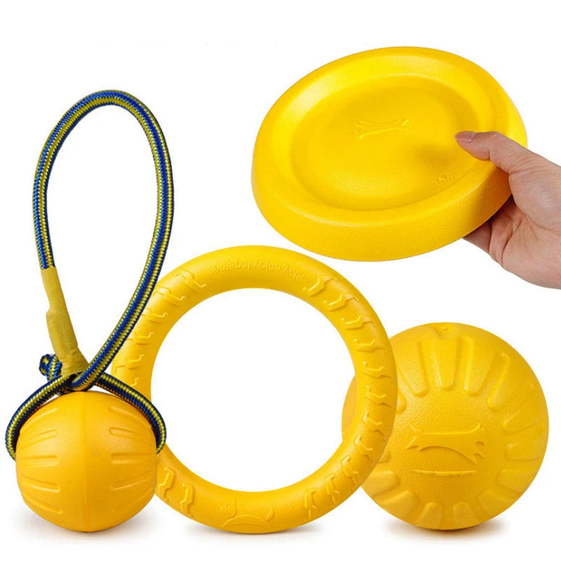 Pet Flying Discs Chew Ball Toy