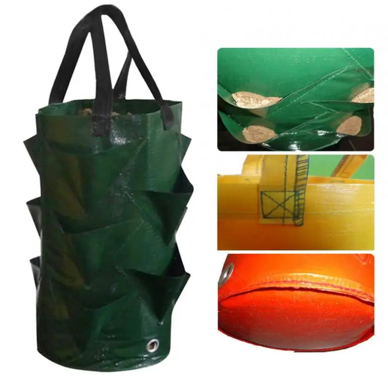 Strawberry Grow Bags