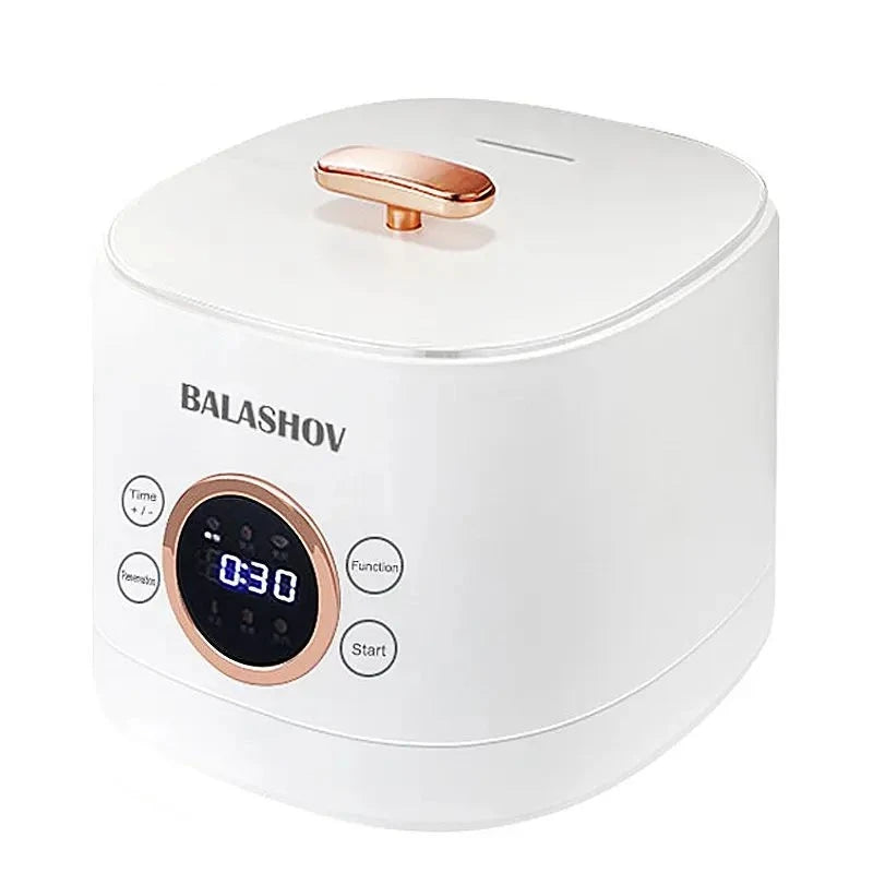 220V Mini Electric Smart Rice Cooker