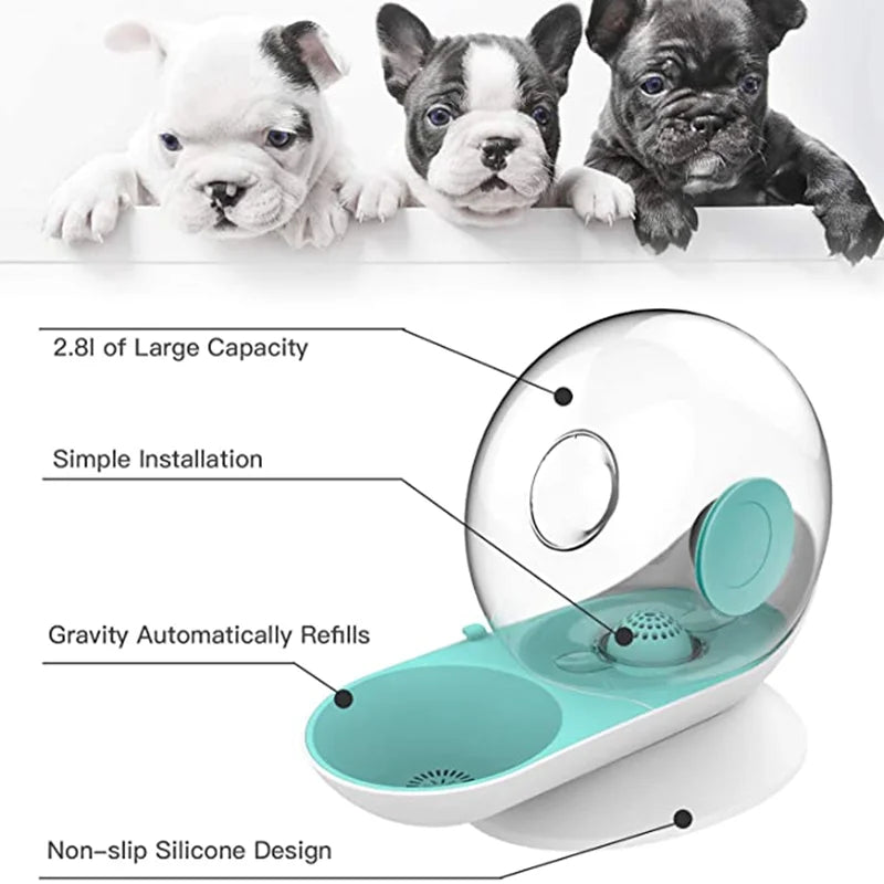 Snails Bubble Cat Water Fountain