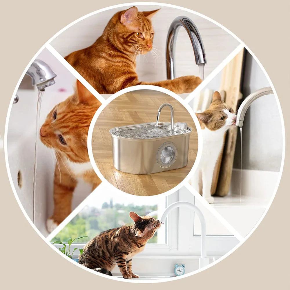 Stainless Steel Cat Automatic Water Fountain
