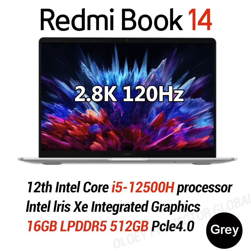 43489862484099|43489862516867