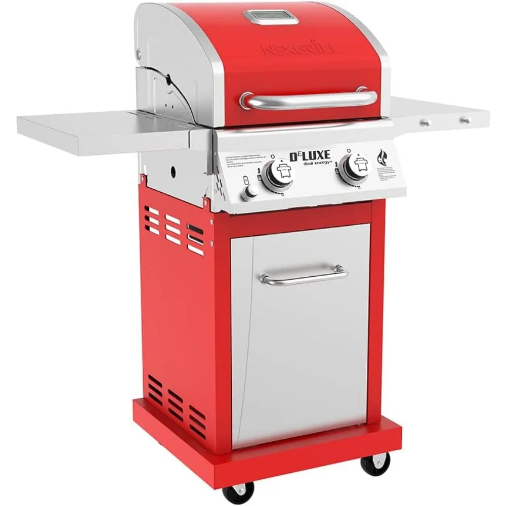 Deluxe 2-Burner Propane Barbecue Gas Grill