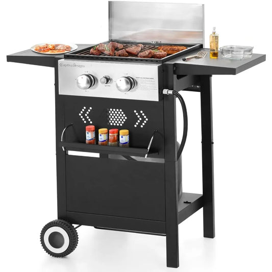 2-Burner Gas BBQ Grill