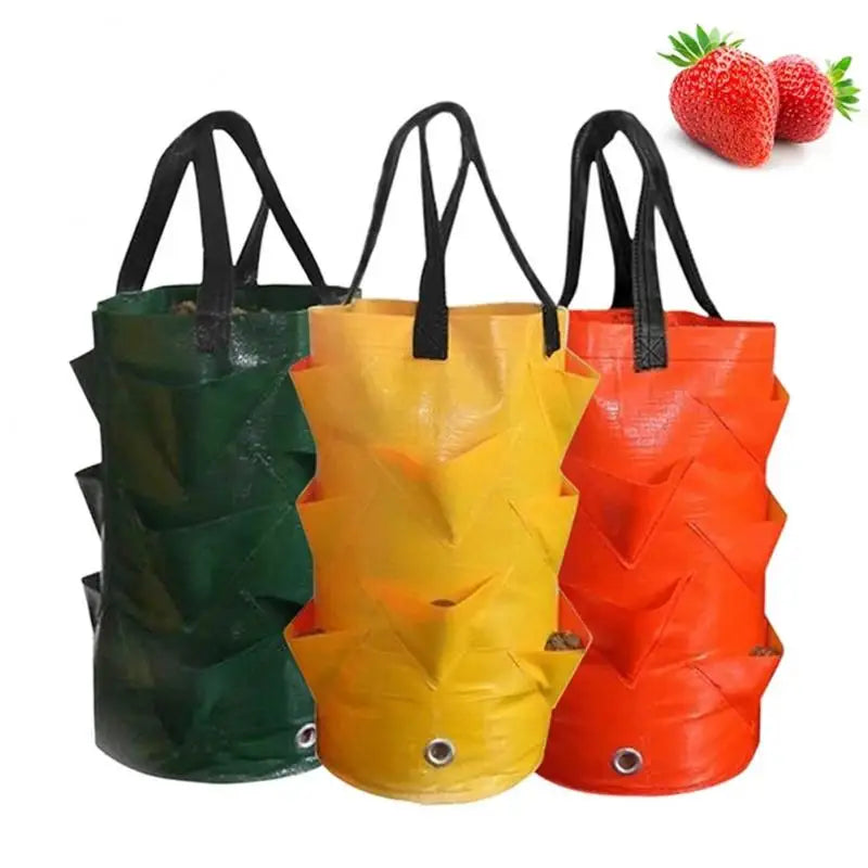 Strawberry Grow Bags
