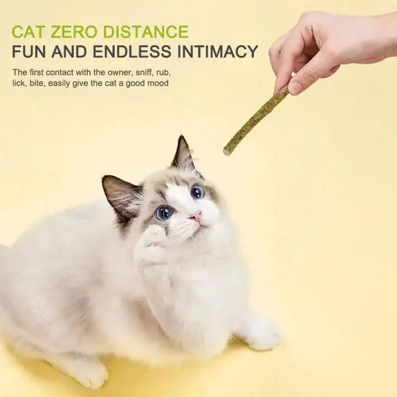 6pcs Natural Matatabi Cat Stick Toy