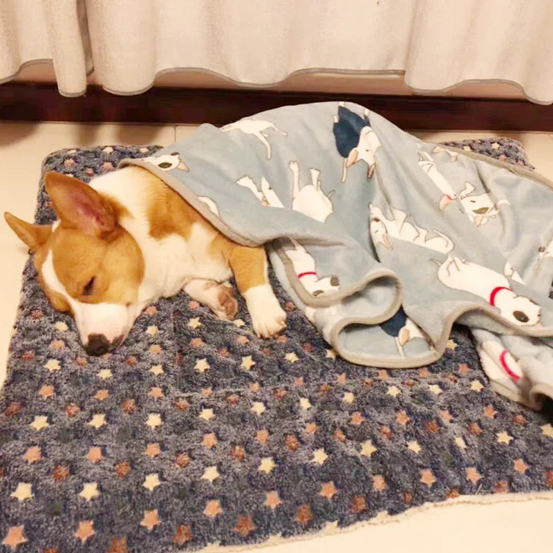 Dog Winter Thicken Flannel Mat