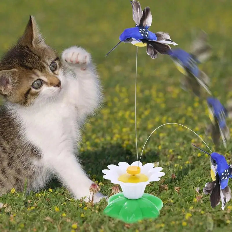 Automatic Electric Rotating Cat Toy