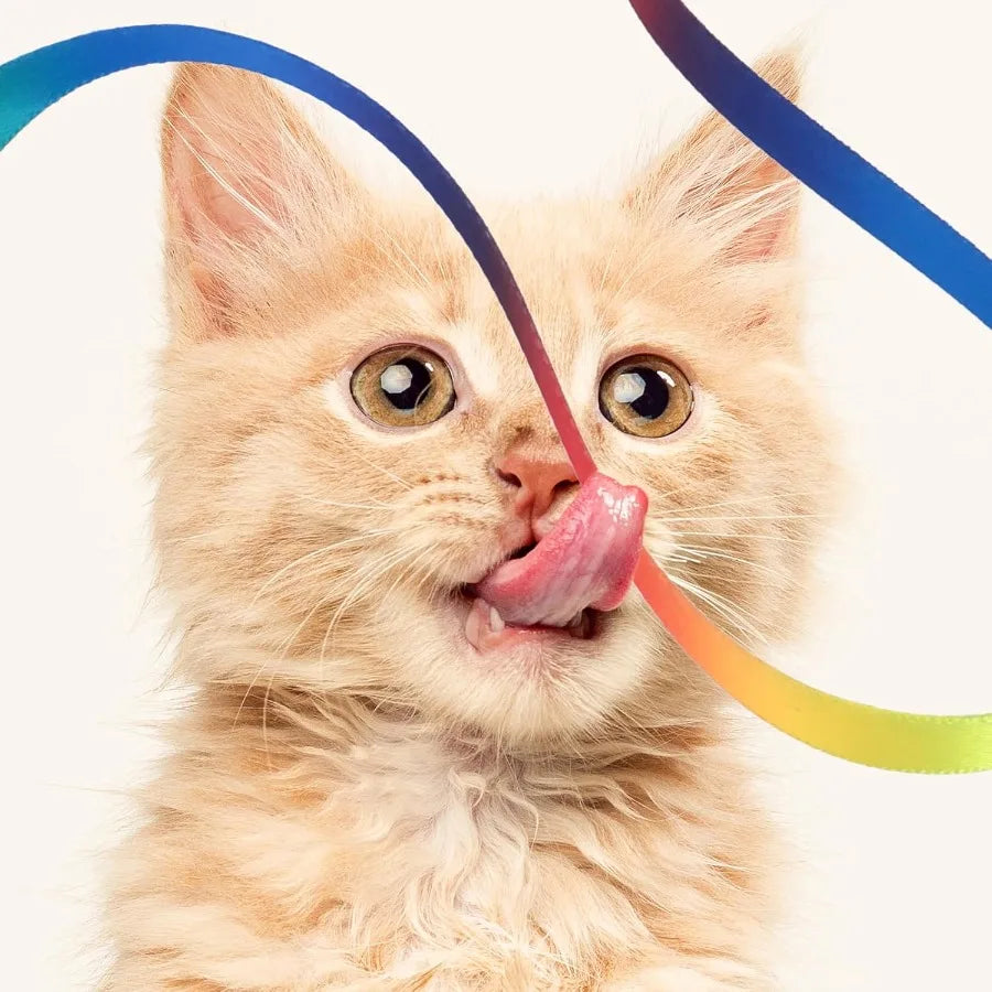 Cat Wand Toy Set