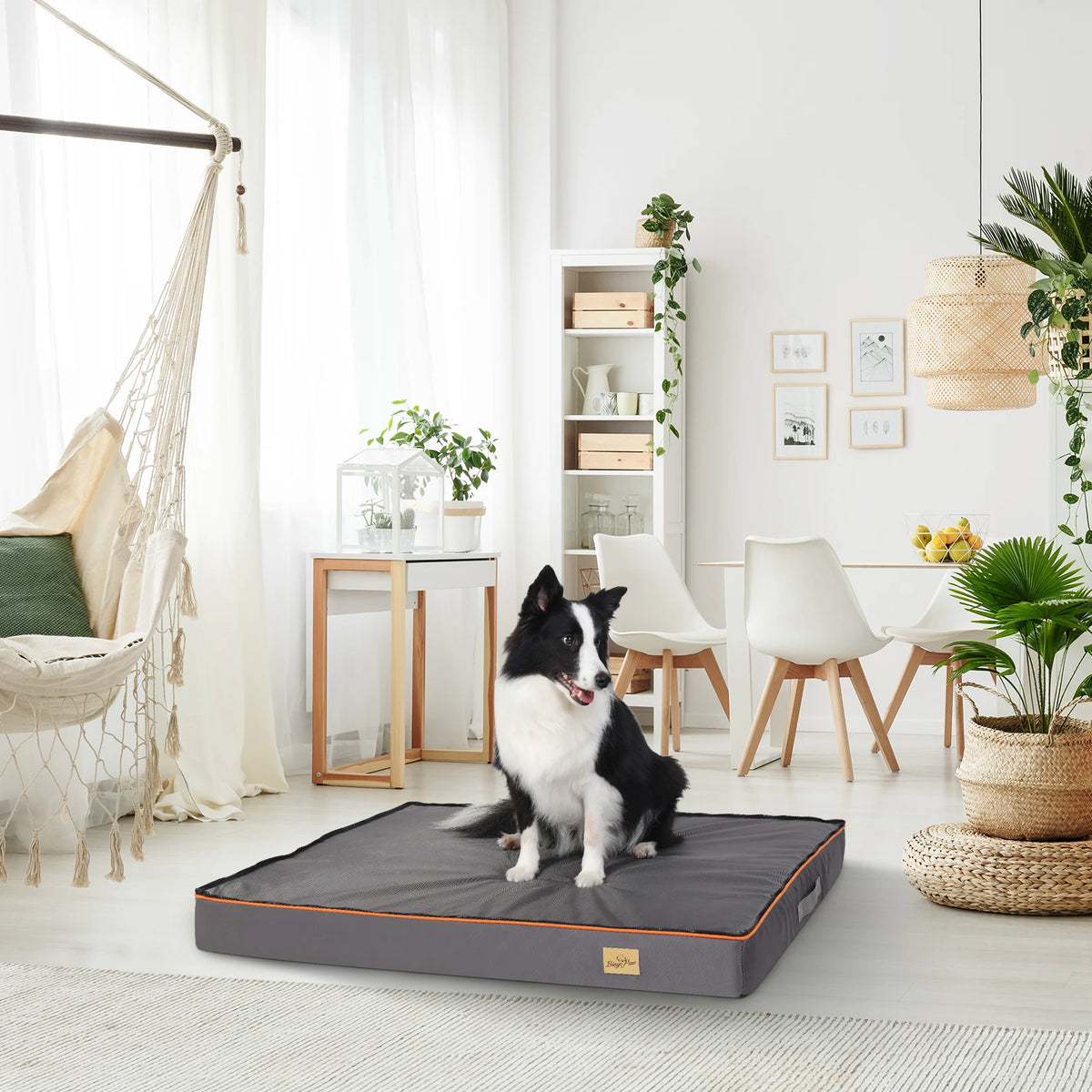 Dog Pet Bed