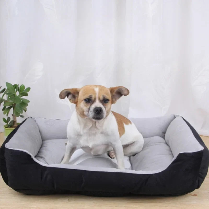Dog Internet Famous Nest Bed