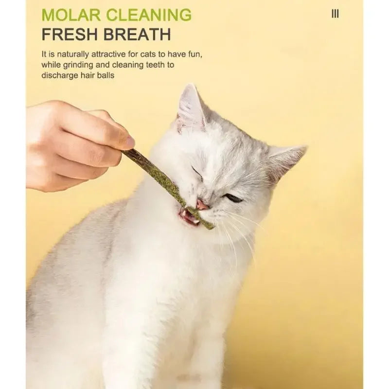 6pcs Natural Matatabi Cat Stick Toy