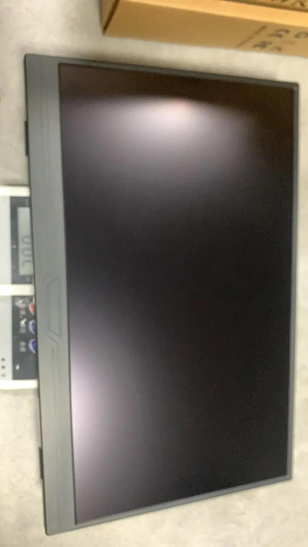 43628242534531