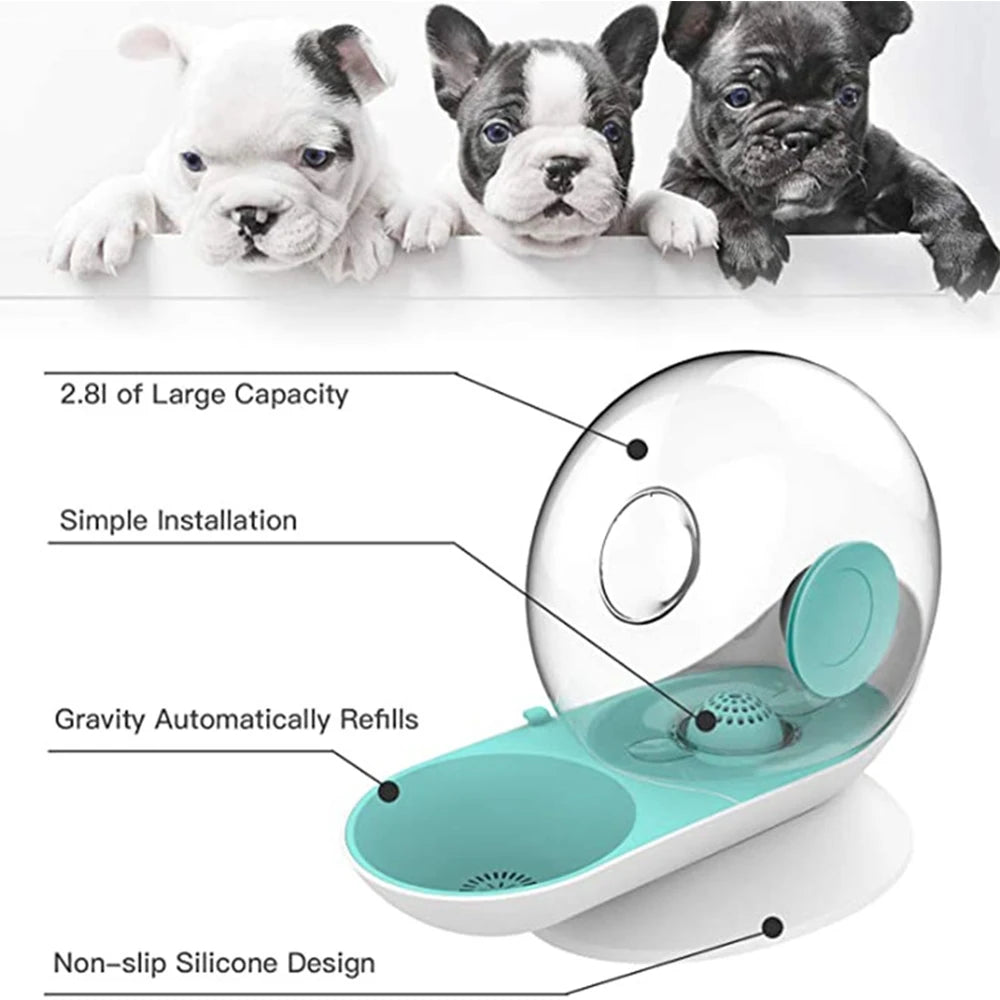 2.8L Cat Water Fountain Snails