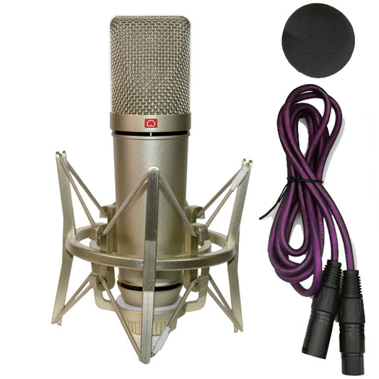 Professional Condenser Microphone Mic