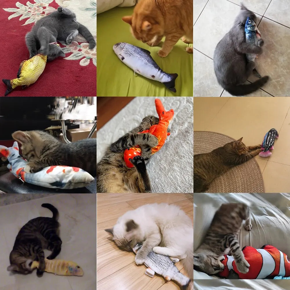 Pet USB Charger Fish Toy